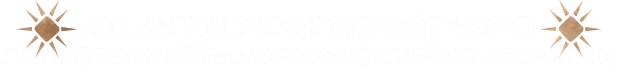 Atlas Fallen: Reign Of Sand — ролевой экшен с кооперативом — изображение 2