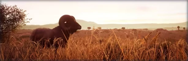 Hunting Simulator 2: охота на диких животных с псом и оружием — изображение 4